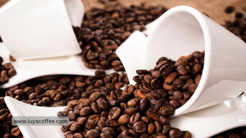 بهترین قهوه عربیکا