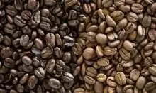 روغن در سطح دانه قهوه