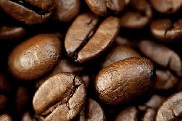 قهوه کنیا AAA