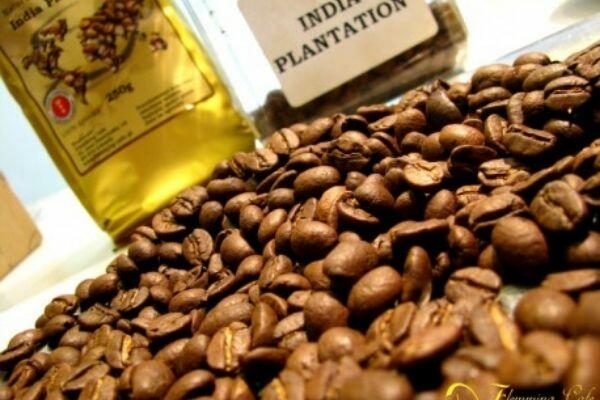 قهوه عربیکا هند پلنتیشن