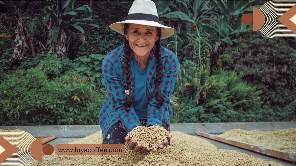 ویژگی های قهوه کلمبیا