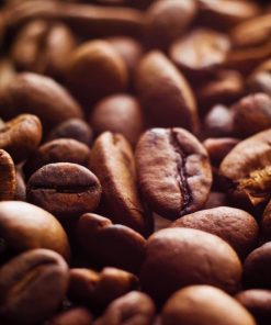خرید قهوه عربیکا اندونزی