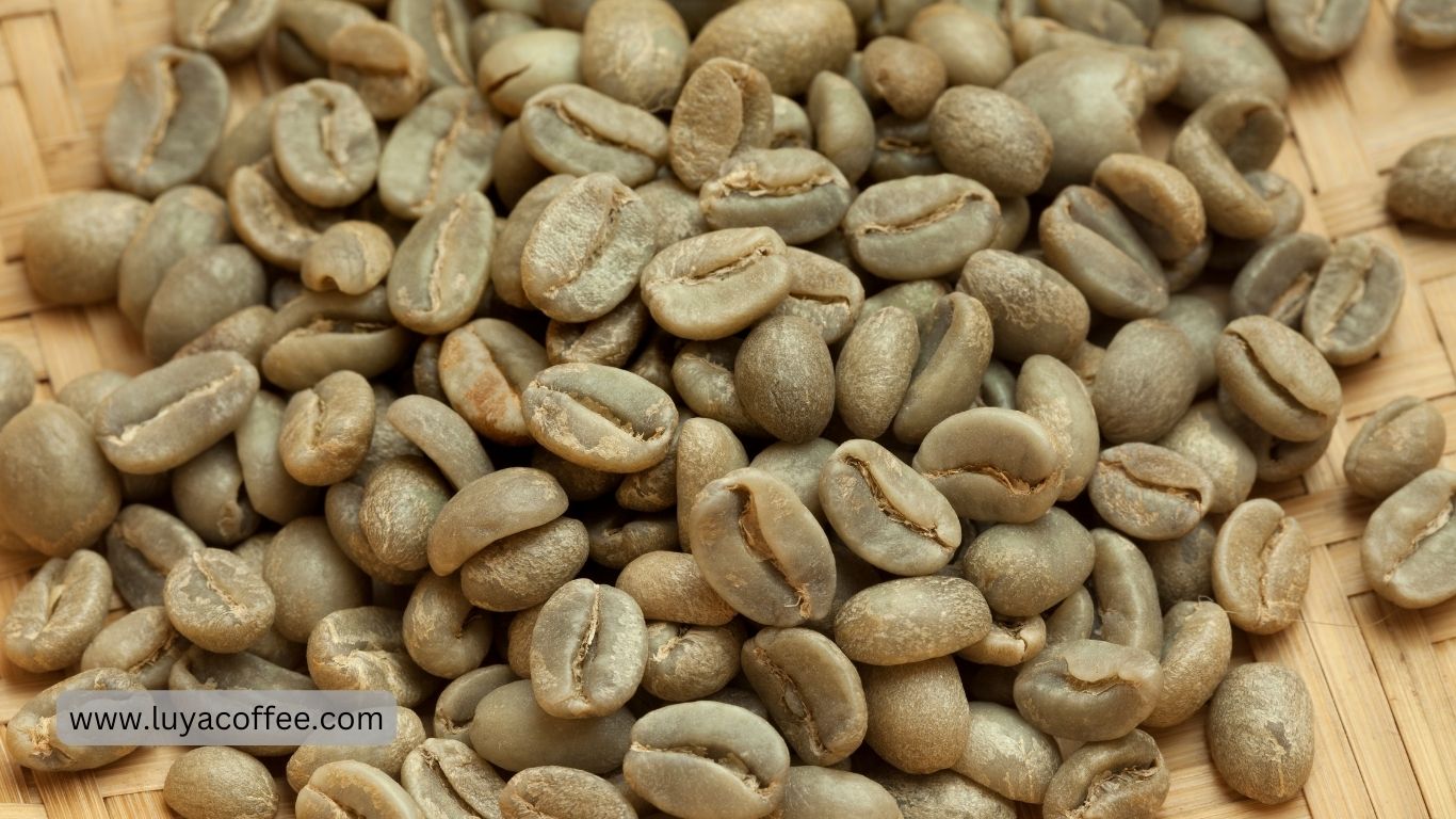 دانه سبز قهوه بولیوی
