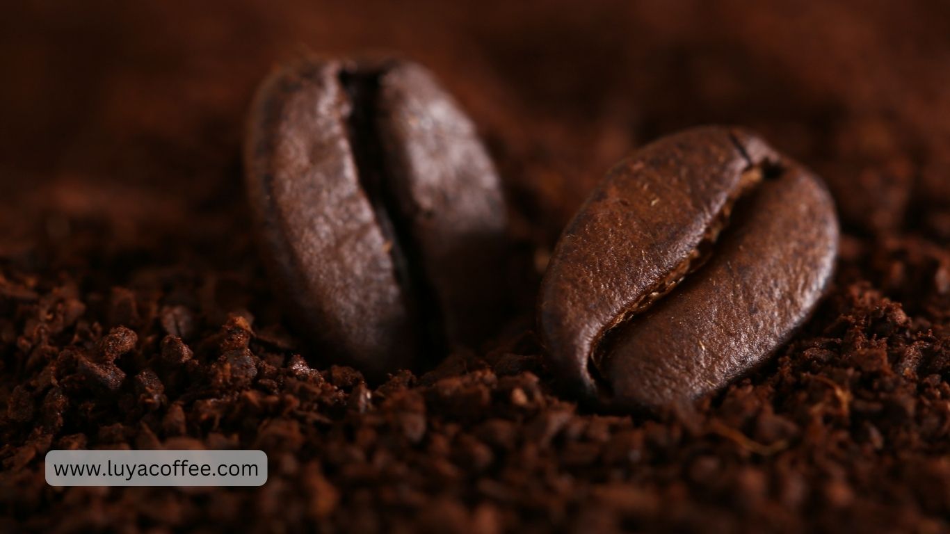 قهوه آسیاب شده تخصصی
