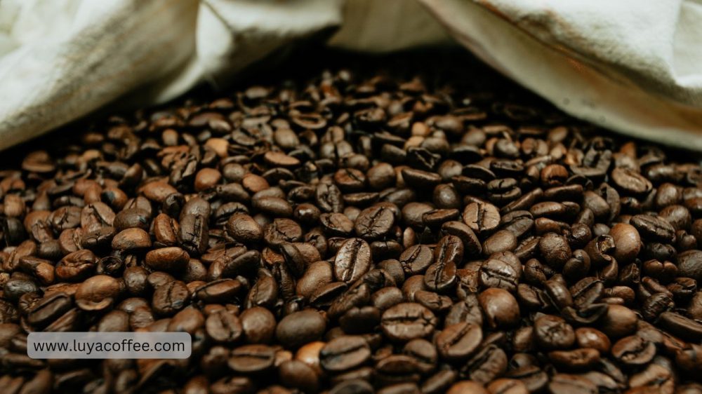 قهوه بولیوی چیست