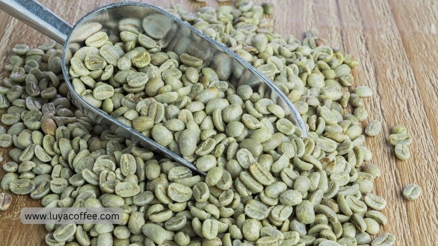لیست قیمت قهوه سبز عربیکا