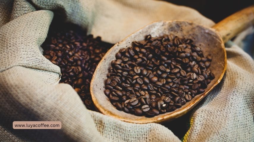 راهنمای خرید قهوه با کیفیت بالا