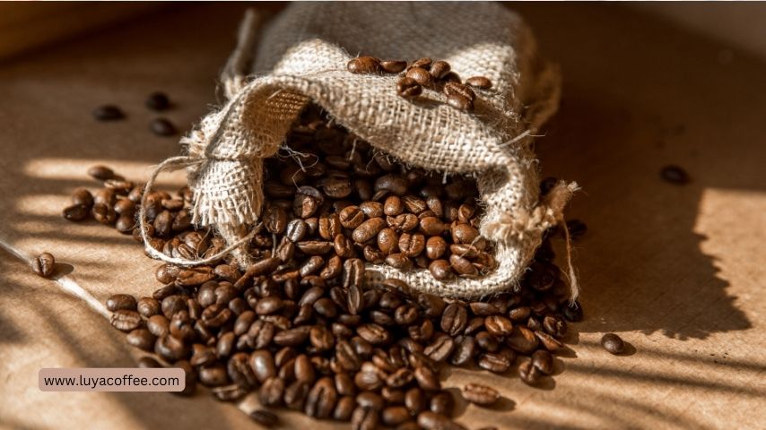 راهنمای خرید قهوه آسیاب نشده