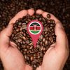 خرید قهوه کنیا تخصصی