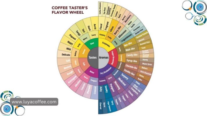 آرومای قهوه چیست