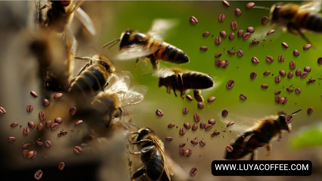 اعتیاد زنبور عسل به کافئین قهوه