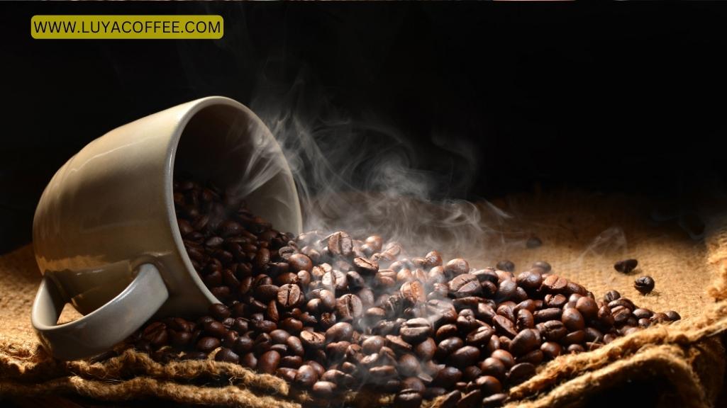 روست متوسط دانه قهوه
