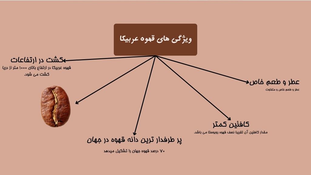 ویژگی های قهوه عربیکا