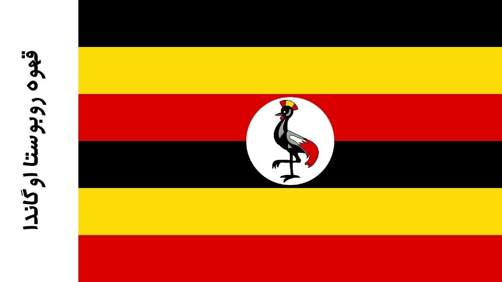 قهوه روبوستا اوگاندا