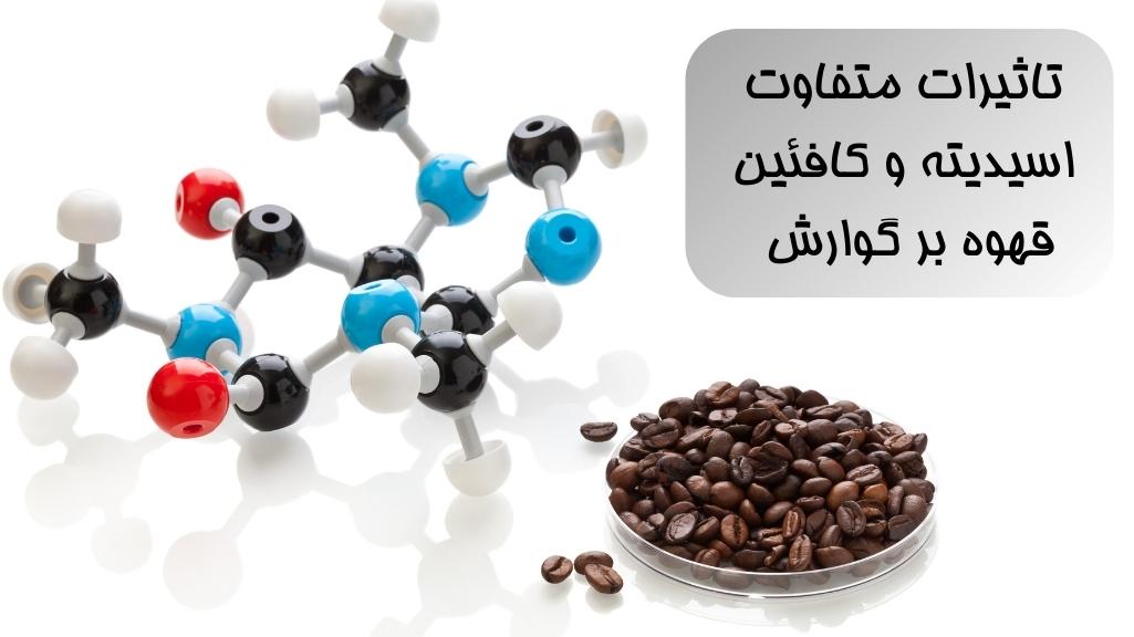 تاثیر کافئین و اسیدیته قهوه بر دستگاه گوارش 