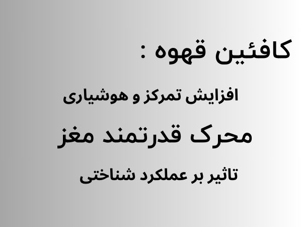 تاثیر کافئین قهوه بر مغز