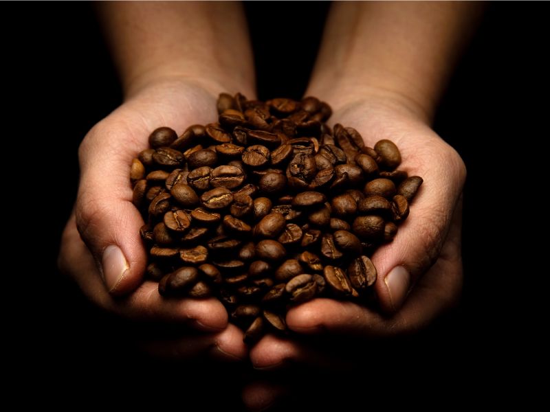 خرید آنلاین قهوه روبوستا