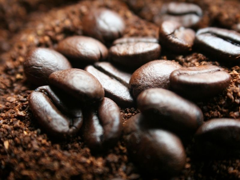 ارتباط بین سطح برشتگی قهوه و تلخی قهوه 