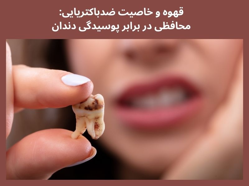 تأثیرات مثبت قهوه بر سلامت دهان و دندان