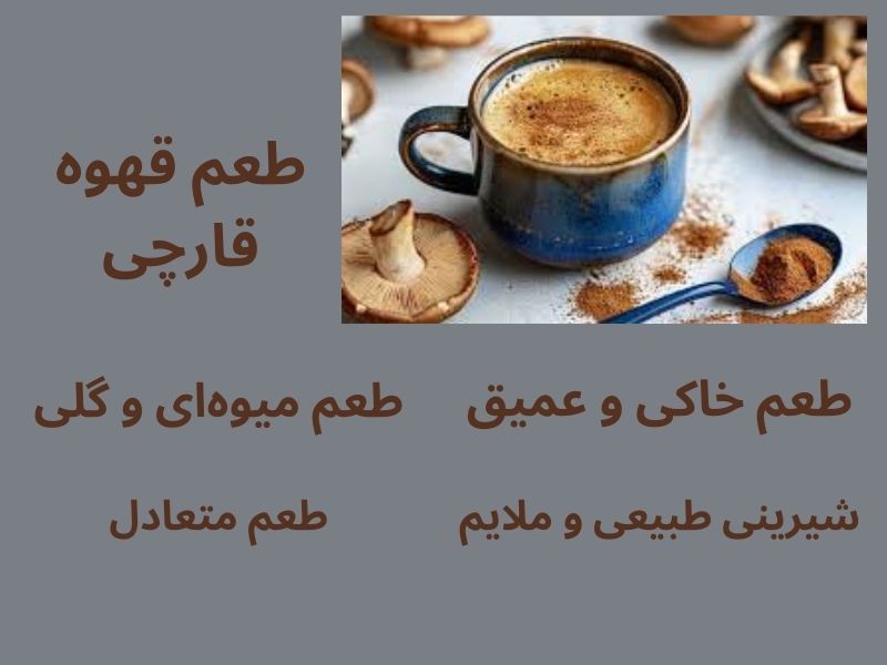 طعم قهوه قارچی