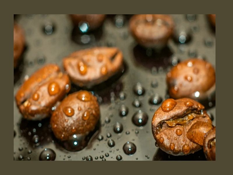 شیوه‌های مدرن دیکافئیناسیون