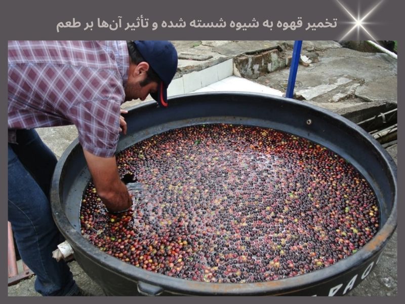 تخمیر به شیوه شسته‌شده و تاثیر بر طعم