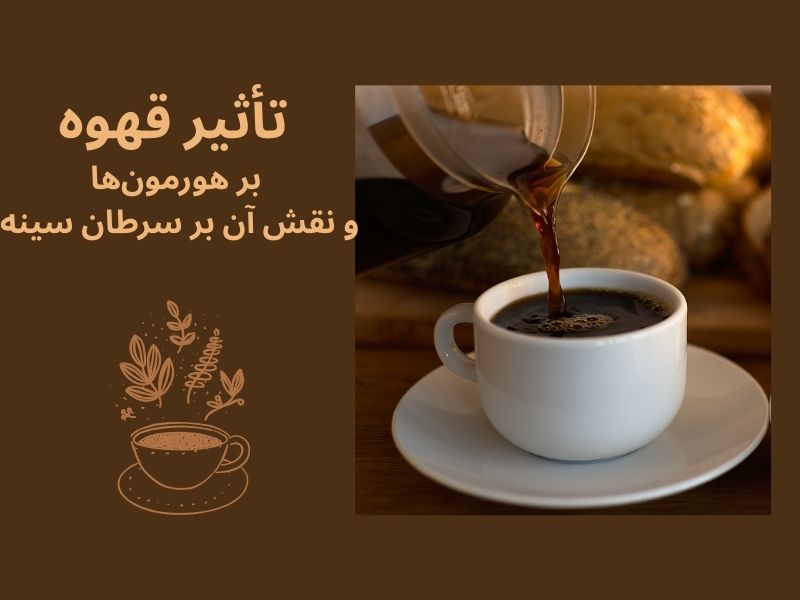 تأثیر قهوه بر هورمونها و سرطان سینه