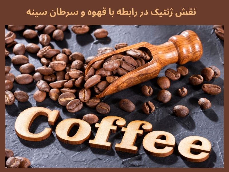 تاثیر ژنتیک در رابطه با قهوه و سرطان سینه