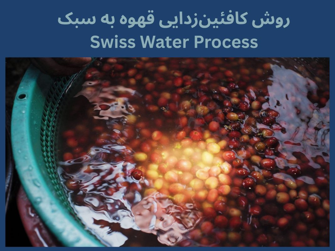 کافئین زدایی قهوه به روش سوئیس واتر