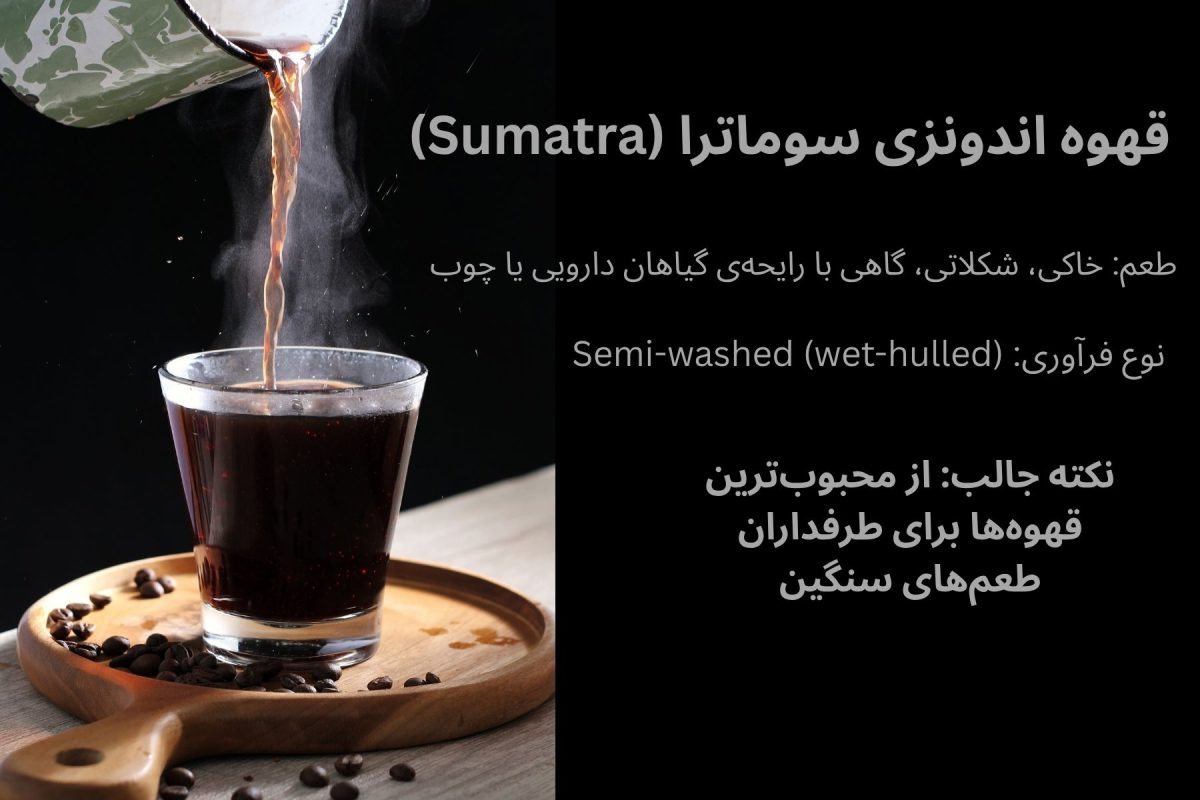 بهترین قهوه اندونزی