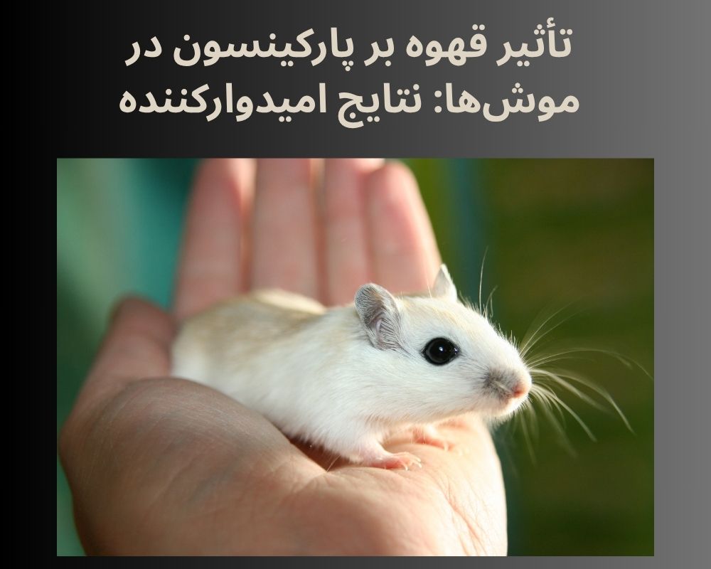تاثیر قهوه بر بیماری پارکینسون در موشها
