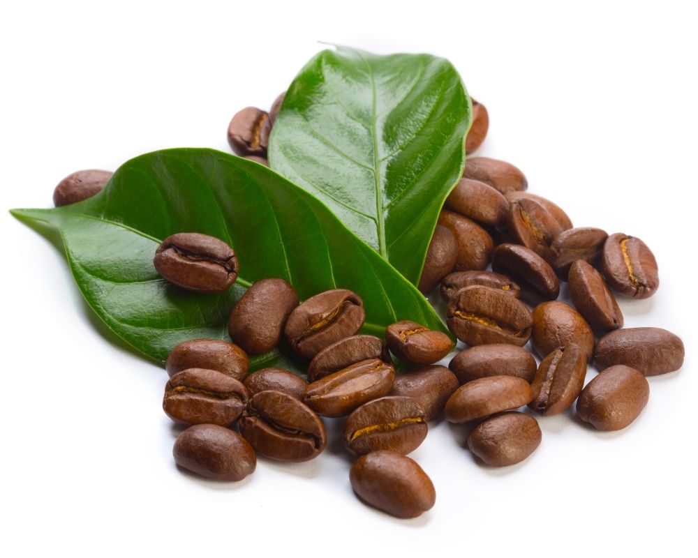 خطرات احتمالی جویدن دانه قهوه